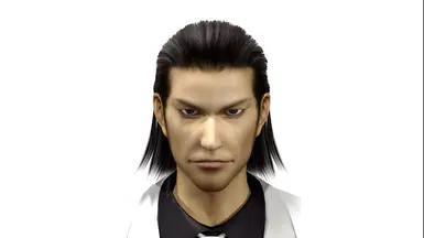 锦鲤侠的招式组合