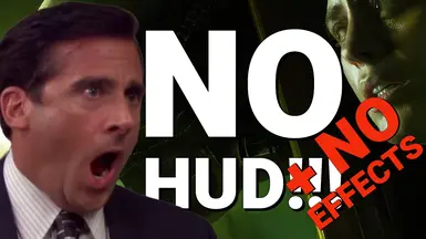 无HUD-无效果