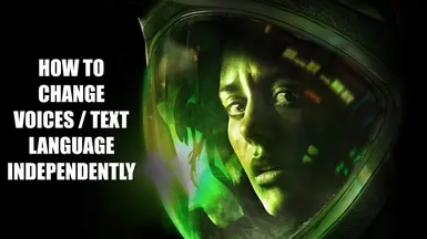 切换文本语言时，可以独立于语音语言