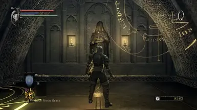 更透明的灵体光辉