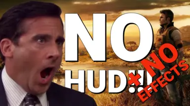 无HUD-无效果
