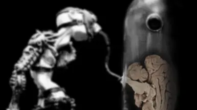 幻觉与记忆环境