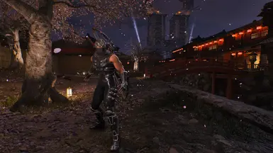 忍者龙剑传2 黑色 - 视觉增强 Reshade