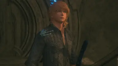 FFXV 约书亚的伊格尼斯未被保留的王冠卫队