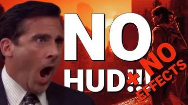 无HUD-无效果