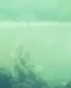 无危险性健康损失