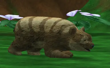 矮熊猫(更新版)