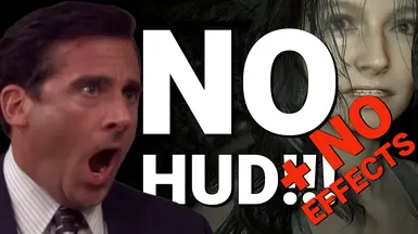 无HUD-无效果