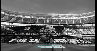 Besiktas 启动画面