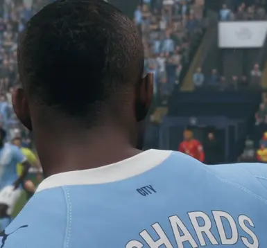 Micah Richards - 面部模组