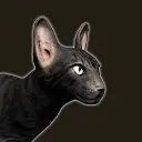 另类猫咪声音