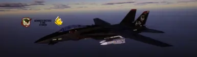 F-14D君主战斗机战斗群和受雷兹格里兹启发的皮肤