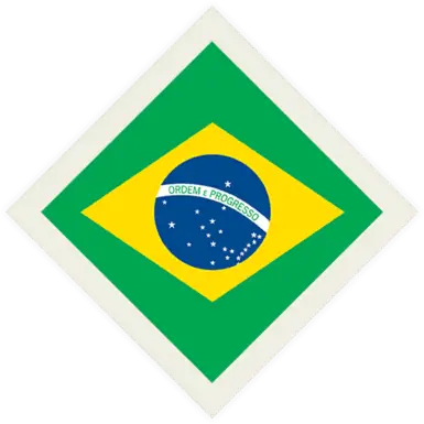 国际