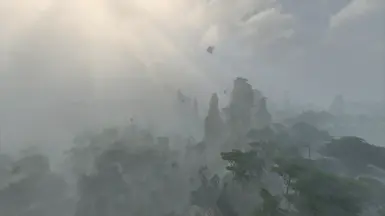 雾金洛森林