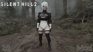 2B模组