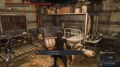 NG2 DLC 白金奖杯存档,除音乐唱片外