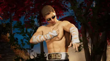 MK9 约翰尼·凯奇 违约