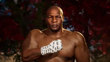 迈克·泰森 - 玲子