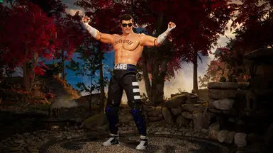 动作人偶约翰尼·凯奇