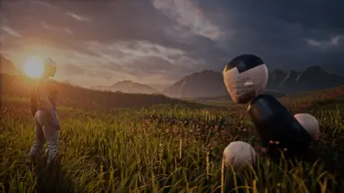 莱维·安格斯特罗姆