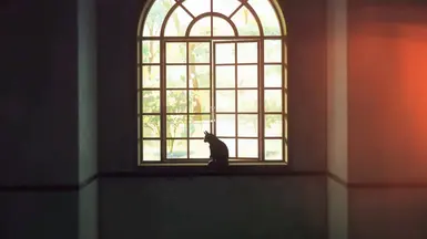 咒术回战 第一季 第二季