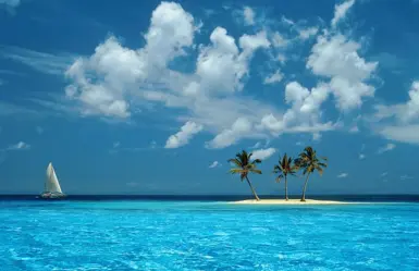 逼真的布偶模组