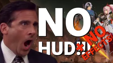 无HUD-无效果