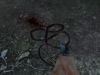 超低端配置和武器配件及跳过过场动画