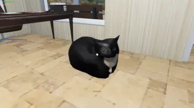 麦克斯韦尔