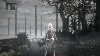 A2