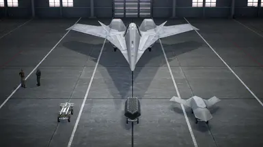 ADF-11F - 自定义装备 1-