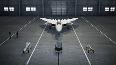 F-14A TG -QMSL 和 ADMM-