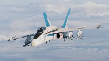 FA-18C - 第4项目