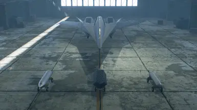 ADF-11F - 自定义装备2-