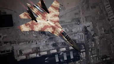 Su-30M2 侧卫——荒地伪装