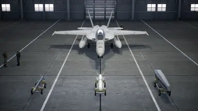 FA-18F - 作为QAAM和可投放油箱的AIM-7