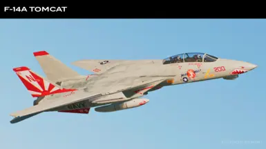 F-14A -莫莉小姐-