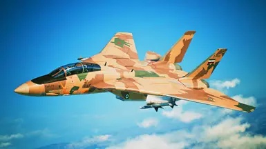 F-14AM - 爱尔兰空军现代型-