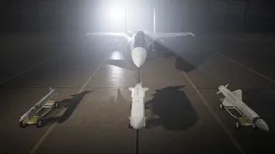 苏-35S 法国装备配置 VISMOD
