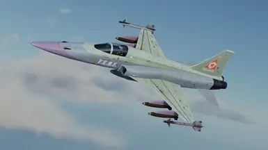 F-5E -王-