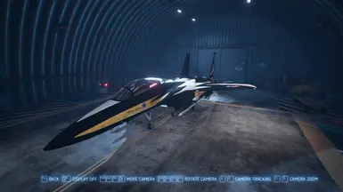 F15e - 黑鹰 -