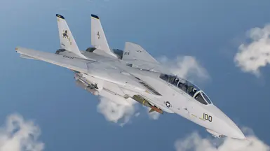 F-14D - VF-213 -