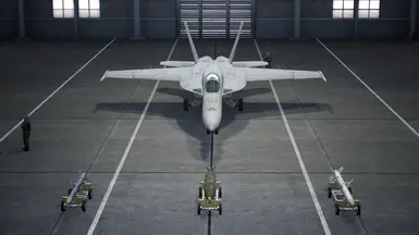 FA-18E - 自定义配置2-