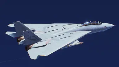 F-14A - 战术涂装方案-
