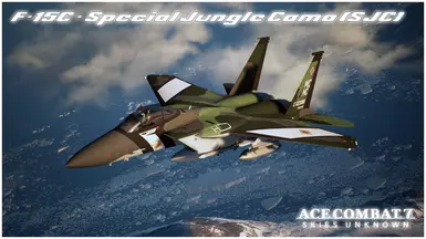 F-15C - 特殊丛林迷彩