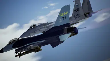 F-16C -海军部队