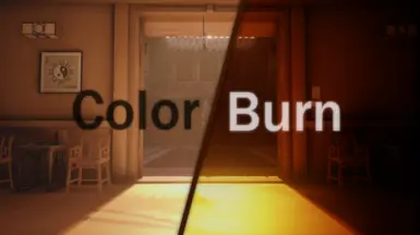 Color-Burn RESHADE