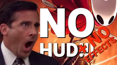 无HUD-无效果