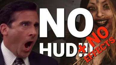 无HUD-无效果