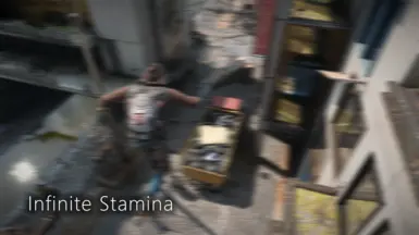 （E3 终极版）无限耐力